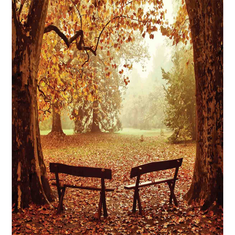 Dramatic Trees and Benches Duvet Cover Set