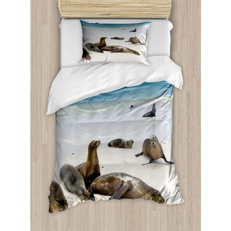 Galapagos Island Sea Lions Duvet Cover Set