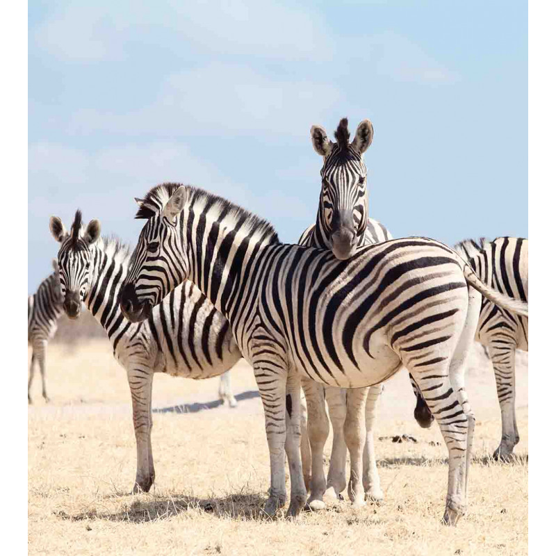 Namibia Africa Safari Duvet Cover Set