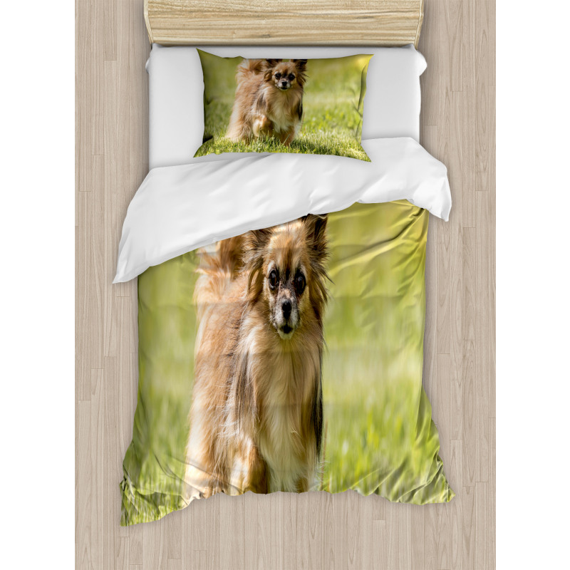 Long Haired Small Dog Duvet Cover Set