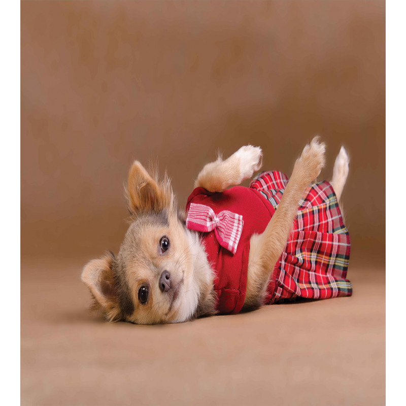 Puppy Wearing Kilt Photo Duvet Cover Set