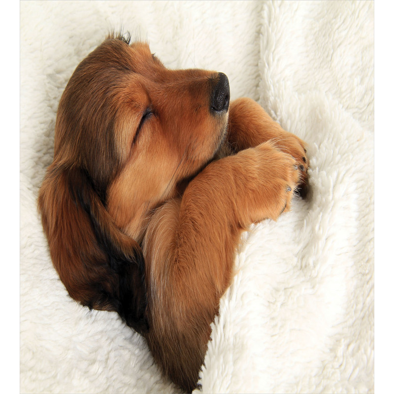 Puppy Sleeping in Its Bed Duvet Cover Set