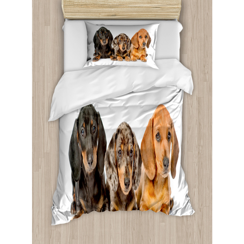 Different Color Dogs Lays Duvet Cover Set