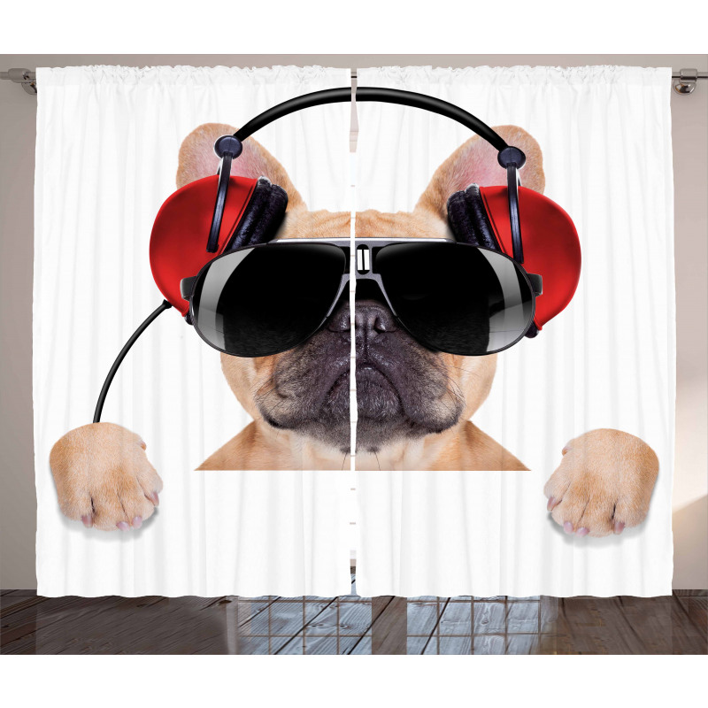 Müzik Perde Güneş Gözlüklü Köpek
