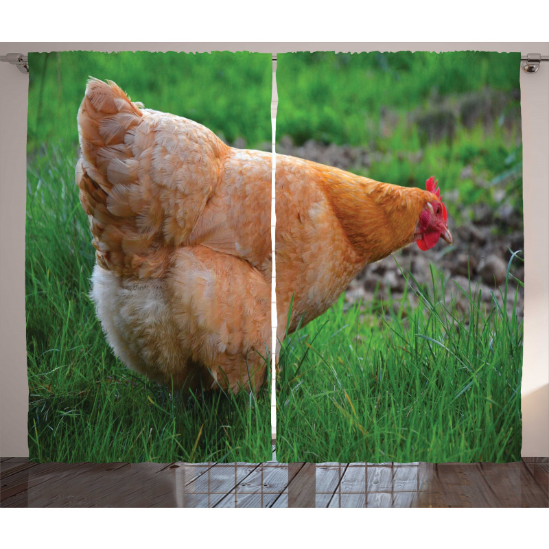 Chicken on Grass Farm Photo Curtain