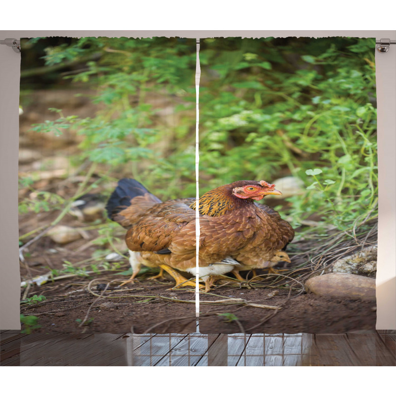 Chicken on Babies Curtain