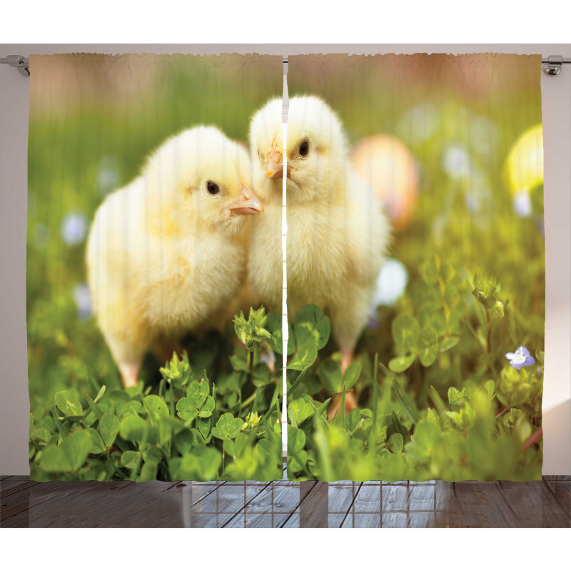 Baby Chickens Photo Curtain