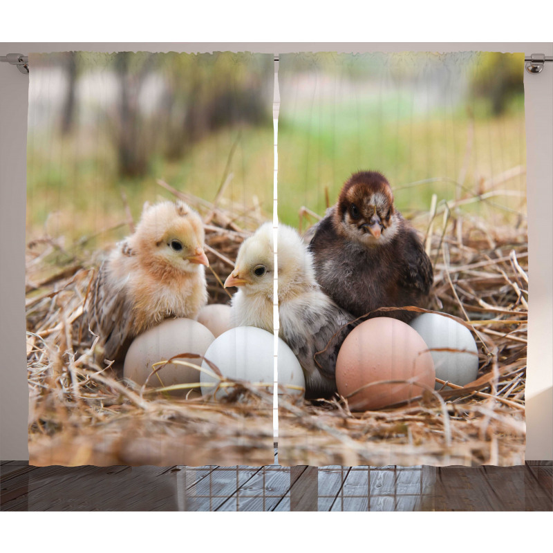 Little Chickens in Hay Eggs Curtain