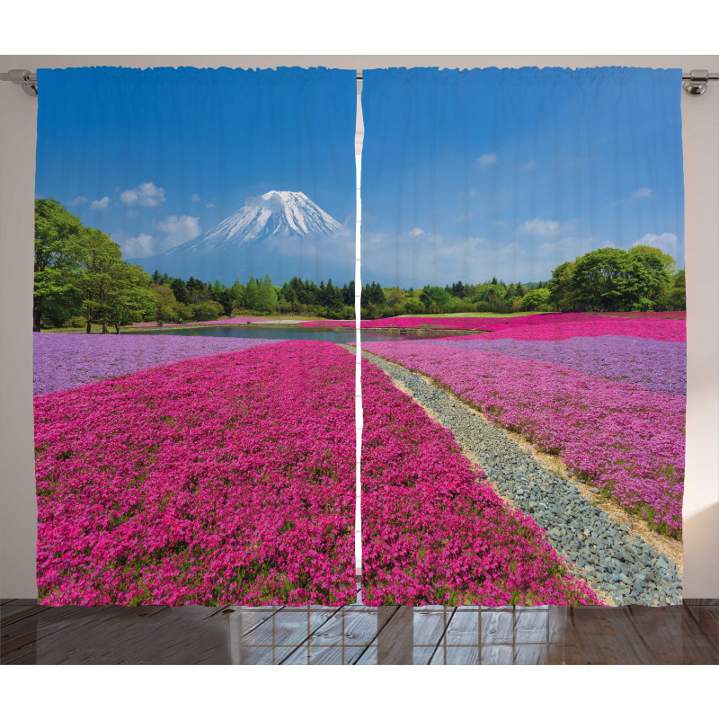 Flourishing Shibazakura Scene Curtain