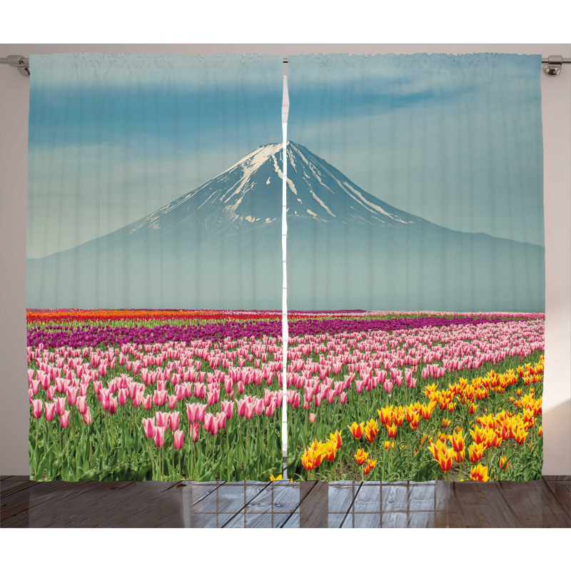 Colorful Japanese Tulips Field Curtain