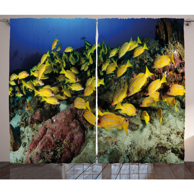 Tropical Fish Coral Reef Curtain