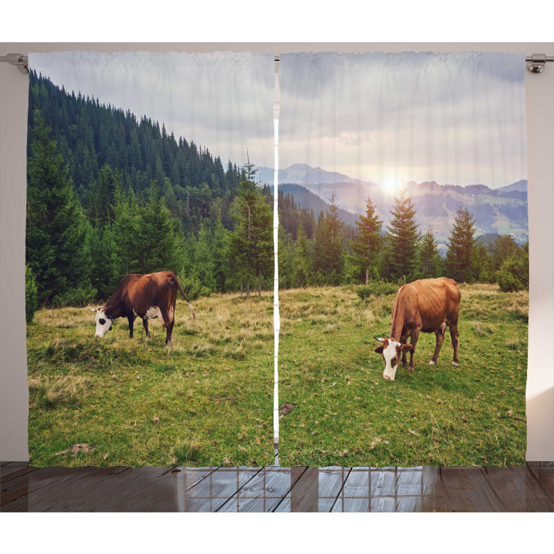 Cows Grazing in Meadow Curtain