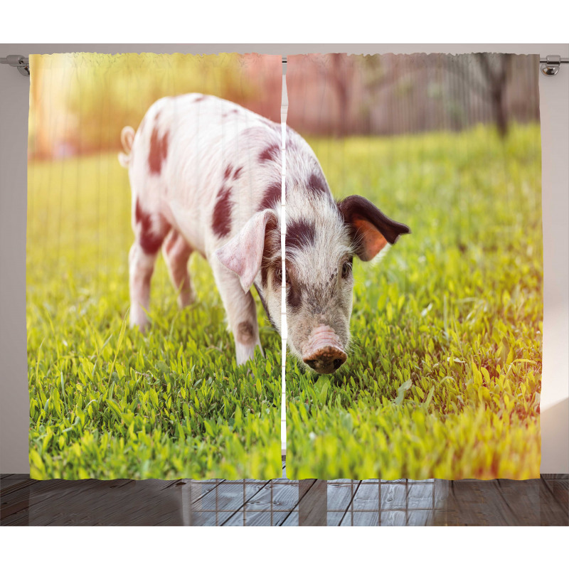 Baby Pig with Spots Curtain