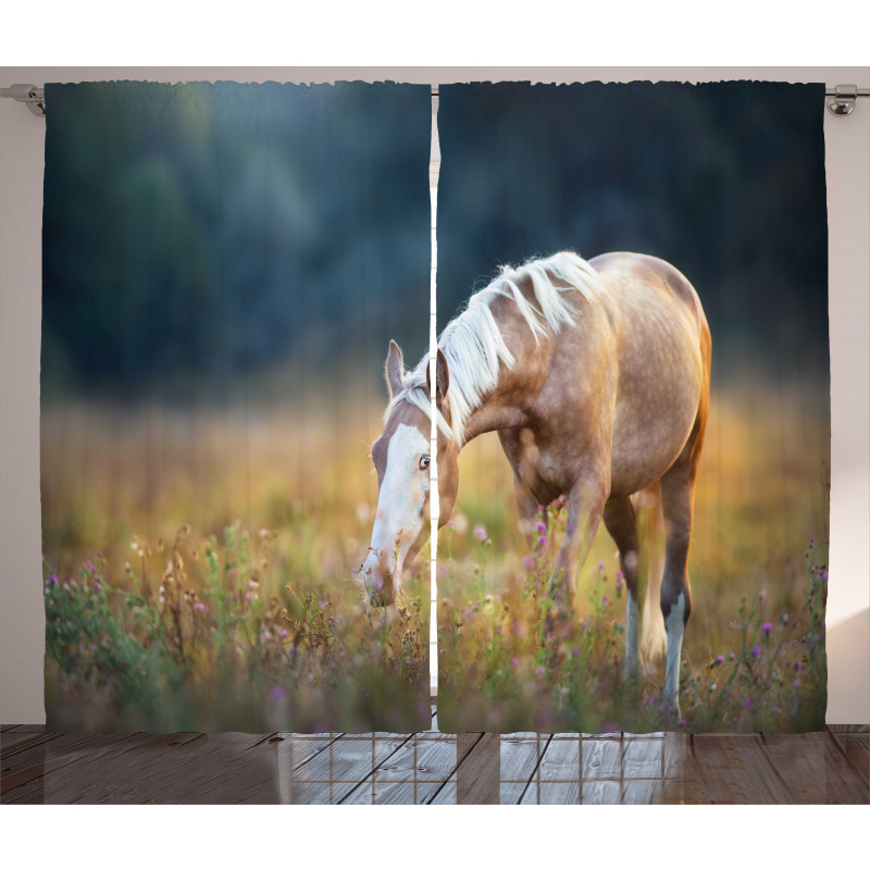 Palomino Horse Grazing Curtain