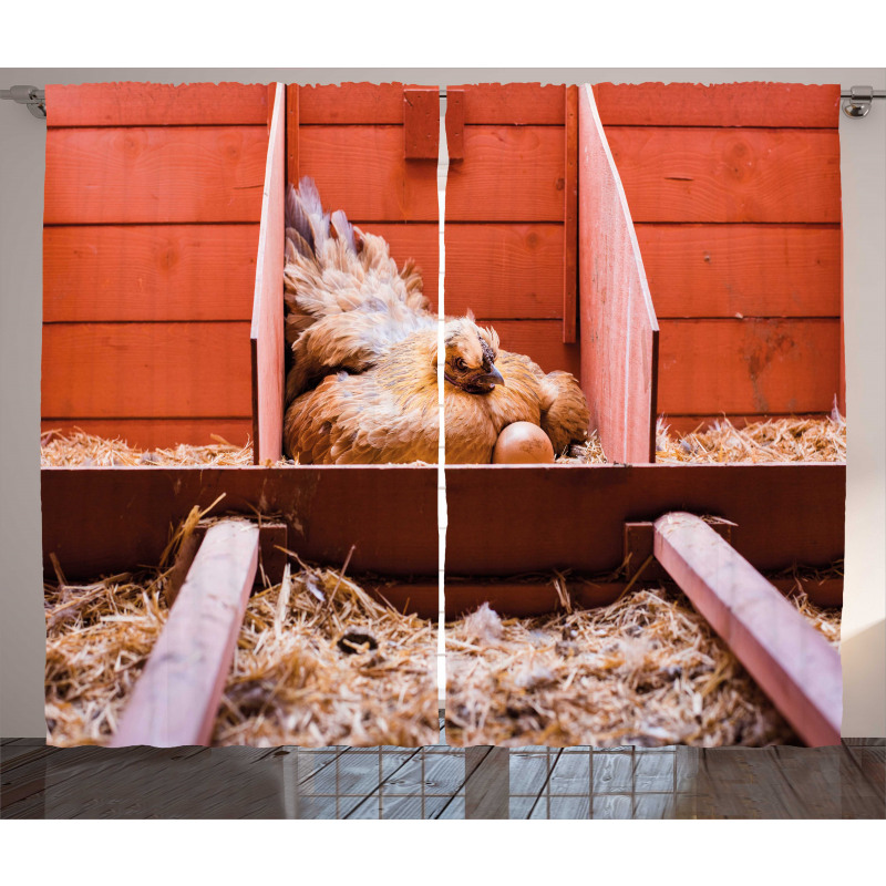 Hen in Cage with Eggs Curtain