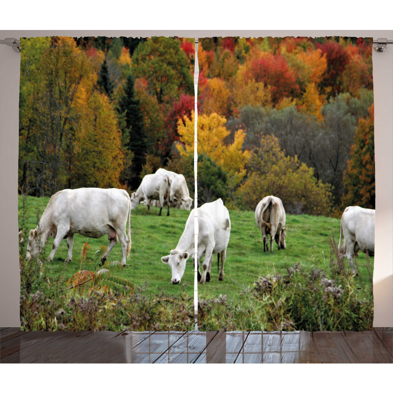 Cows on Autumn Hill Curtain