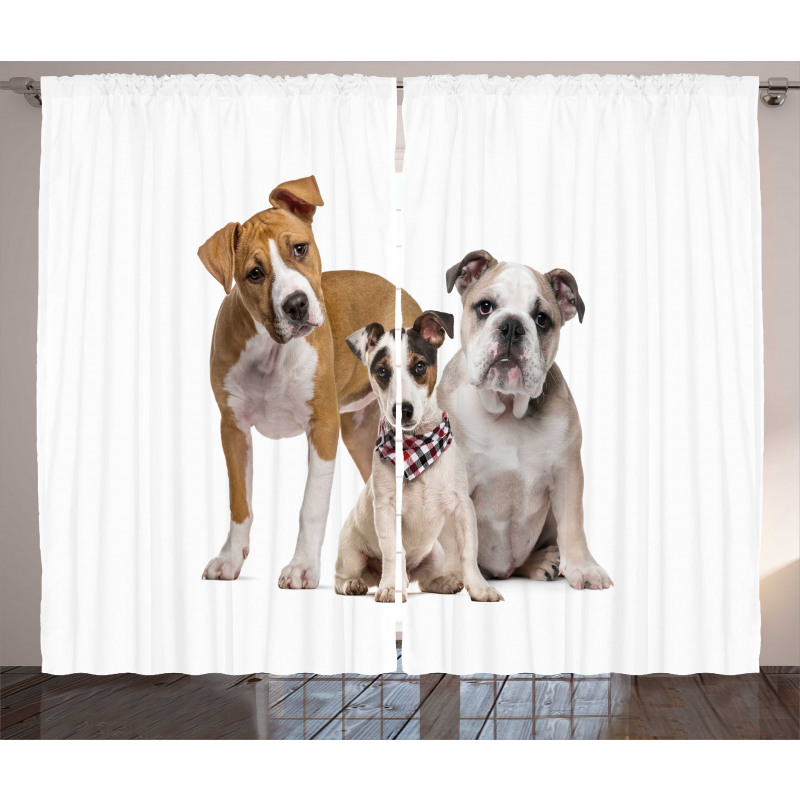 Funny Various Breeds of Dogs Curtain