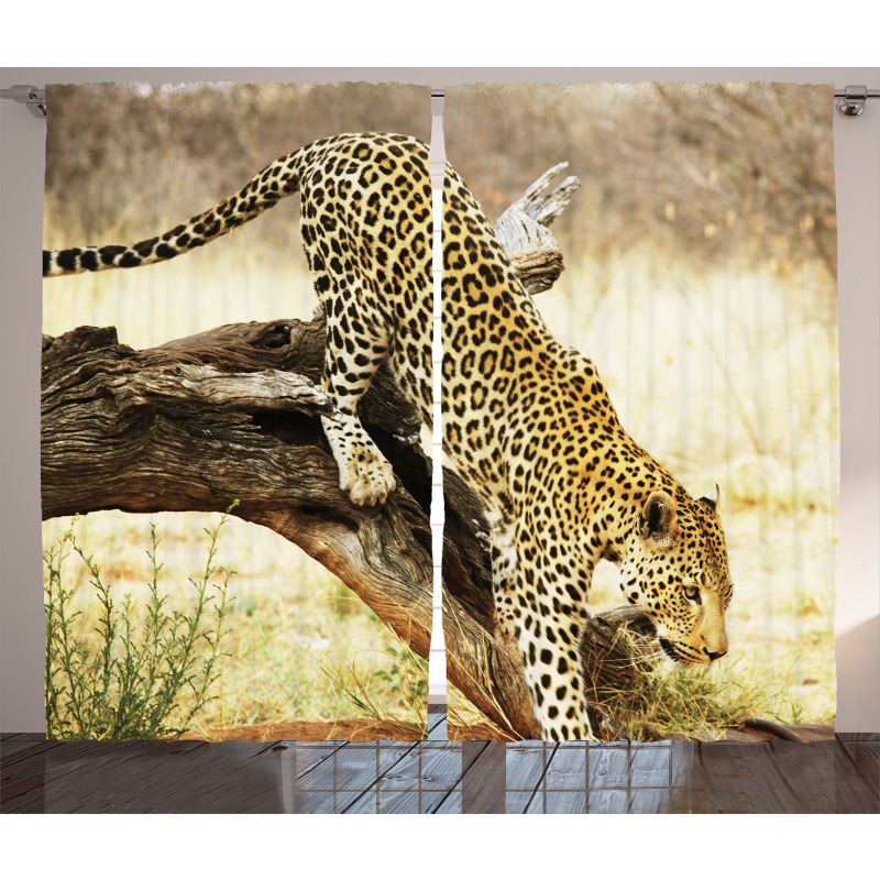 Leopard Wild Cat on Tree Curtain