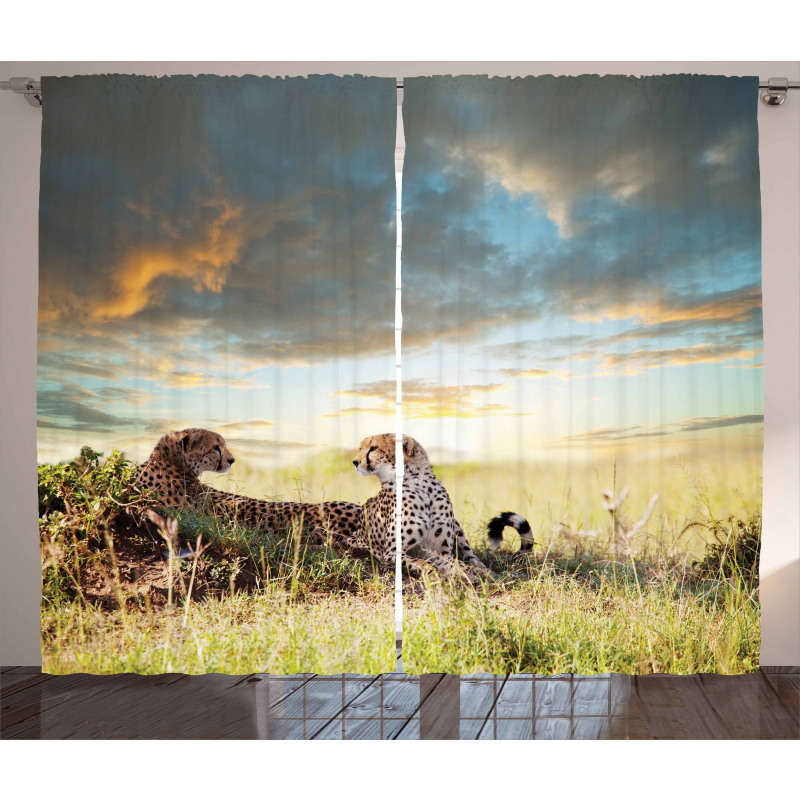 Dangerous Cheetahs in Africa Curtain