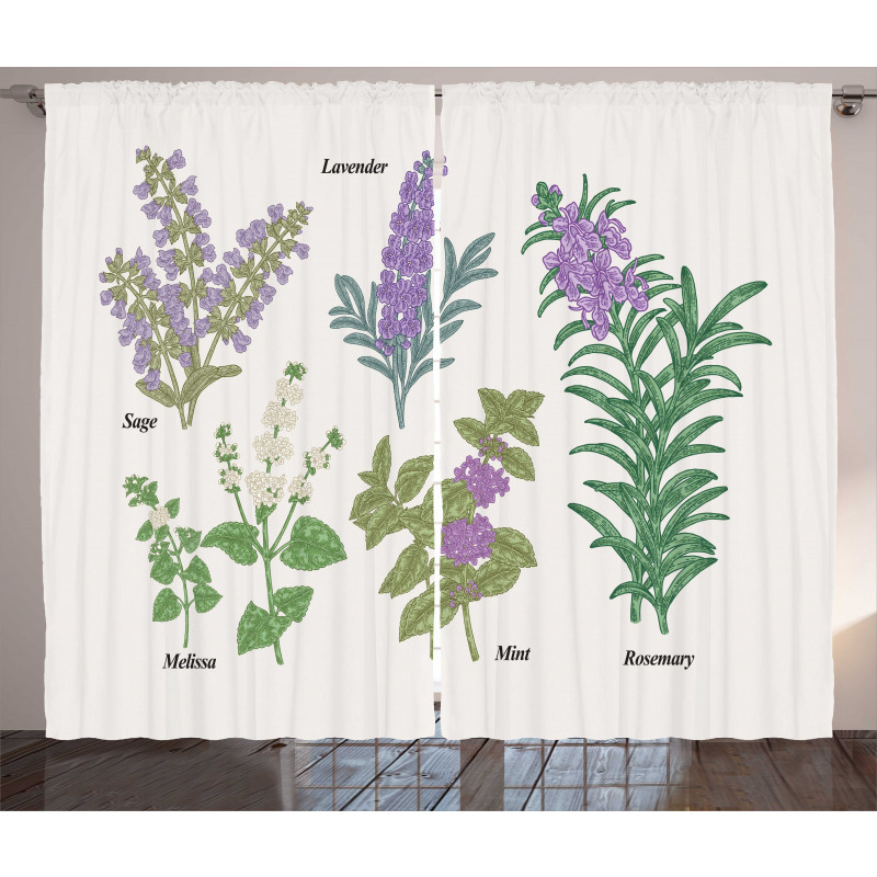 Botanical Infographic Plants Curtain