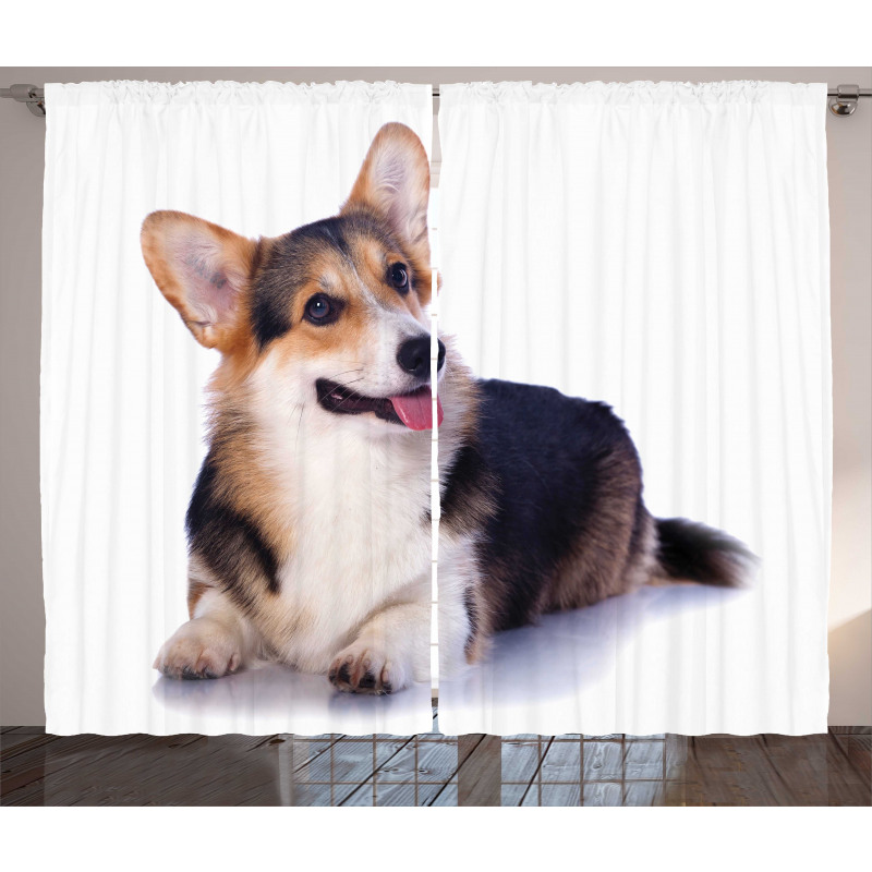 Pembroke Welsh Dog Lover Art Curtain