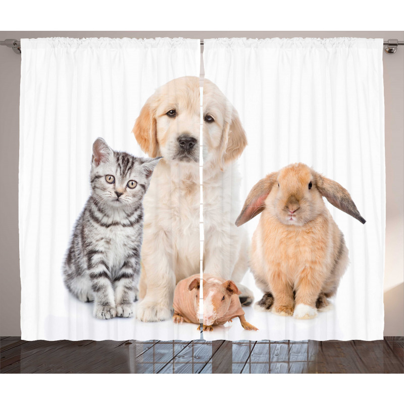 Bunny Piglet Staring Curtain