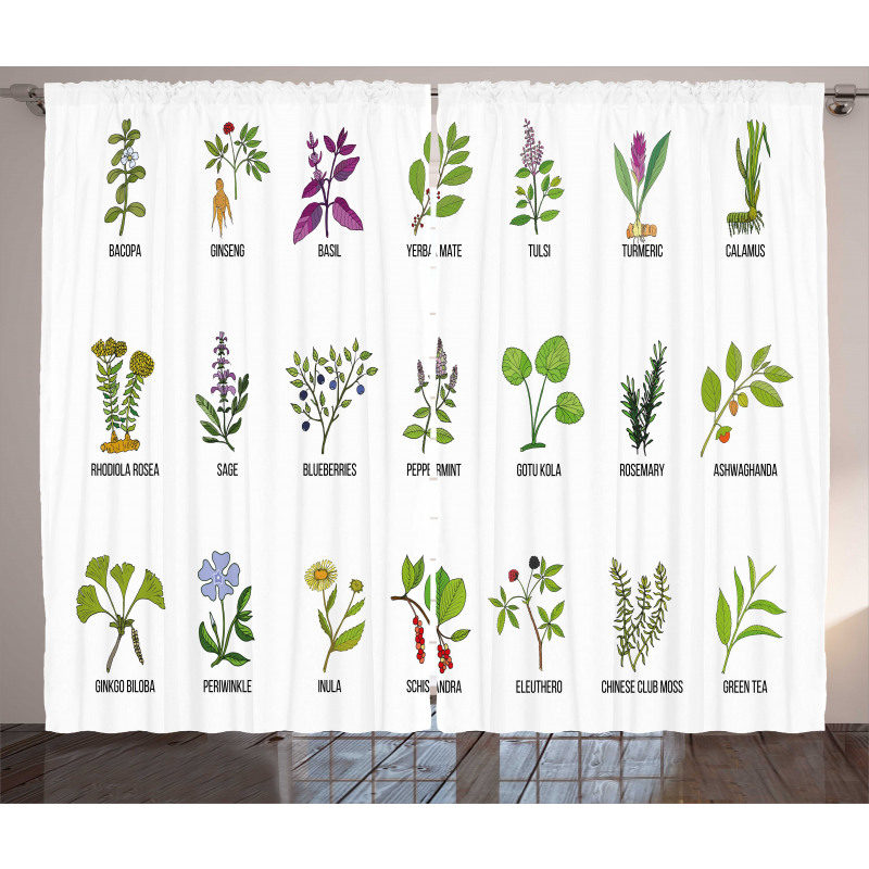 Educational Herbs Design Curtain