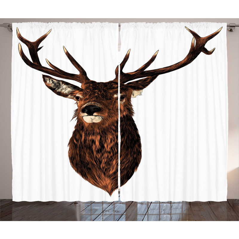 Stuffed Animal Head Curtain