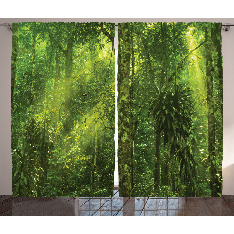 Sun Beams Tropic Forest Curtain