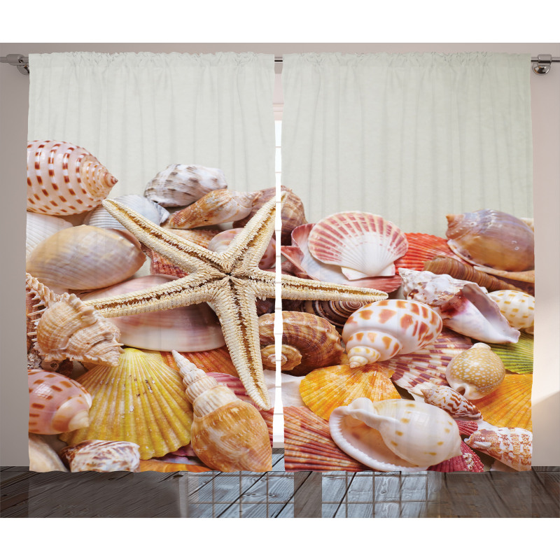 Pile of Seashells Beach Curtain