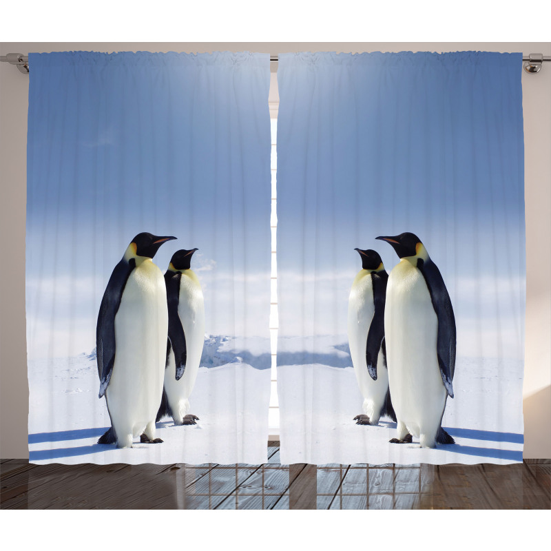 Penguins in Antarctica Curtain