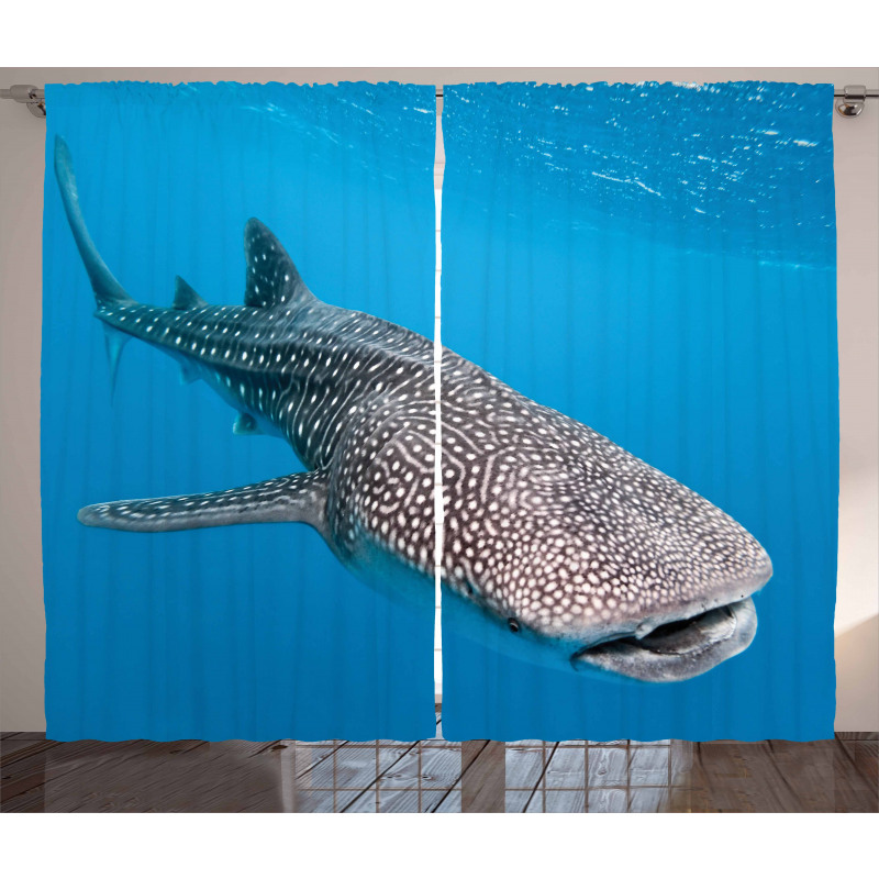 Swimming Whale Sea Curtain