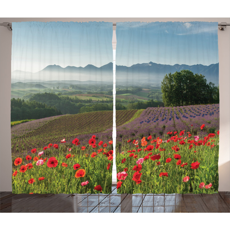 Lavender Farm Morning Curtain