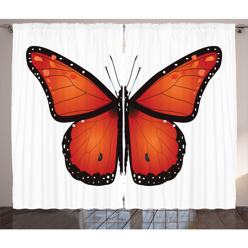 Big Monarch Breed Moth Curtain