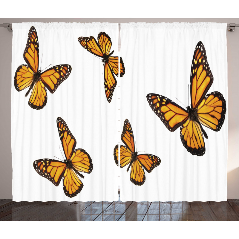 Gracious Winged Insect Curtain