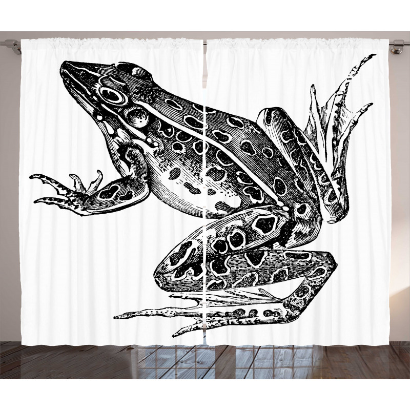 Dotted Exotic Amphibian Breed Curtain