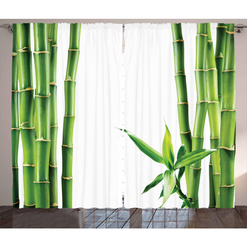 Branches of Bamboo Plant Curtain