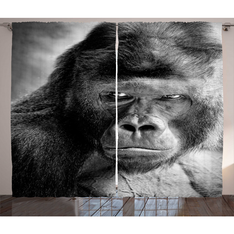 Ape Portrait Photography Curtain