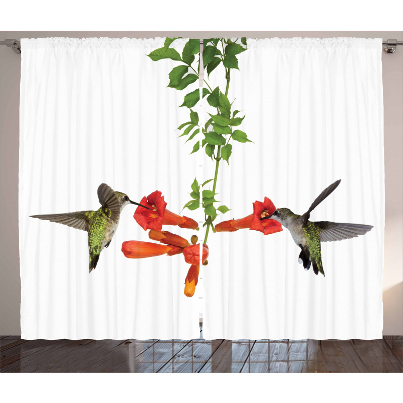 Hummingbird Nectar Sip Curtain
