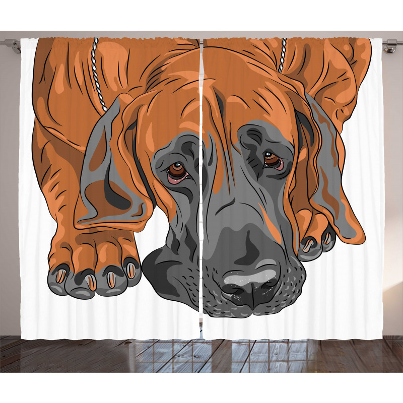 Sad Looking Dog Cartoon Curtain