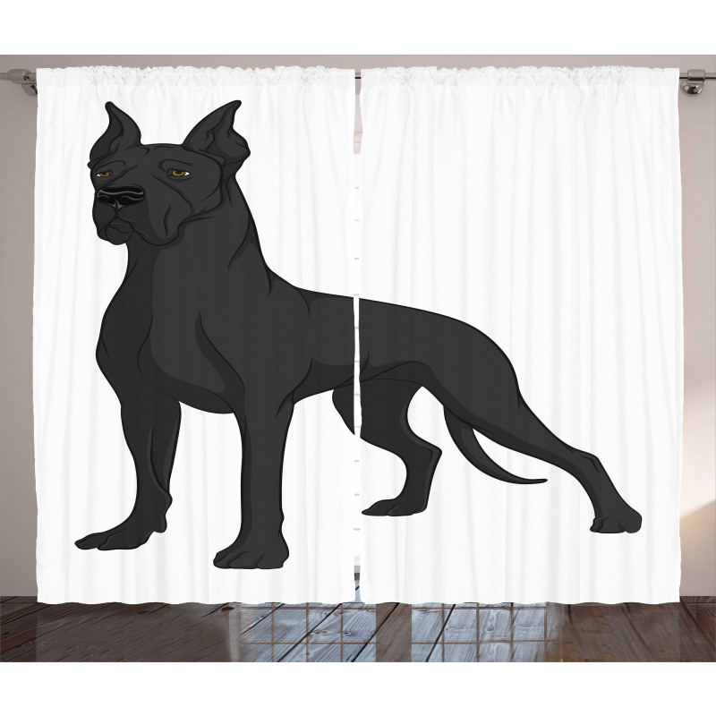 Purebred Dog on Plain Curtain