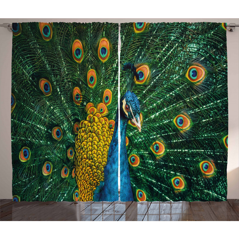 Portrait of the Peacock Curtain