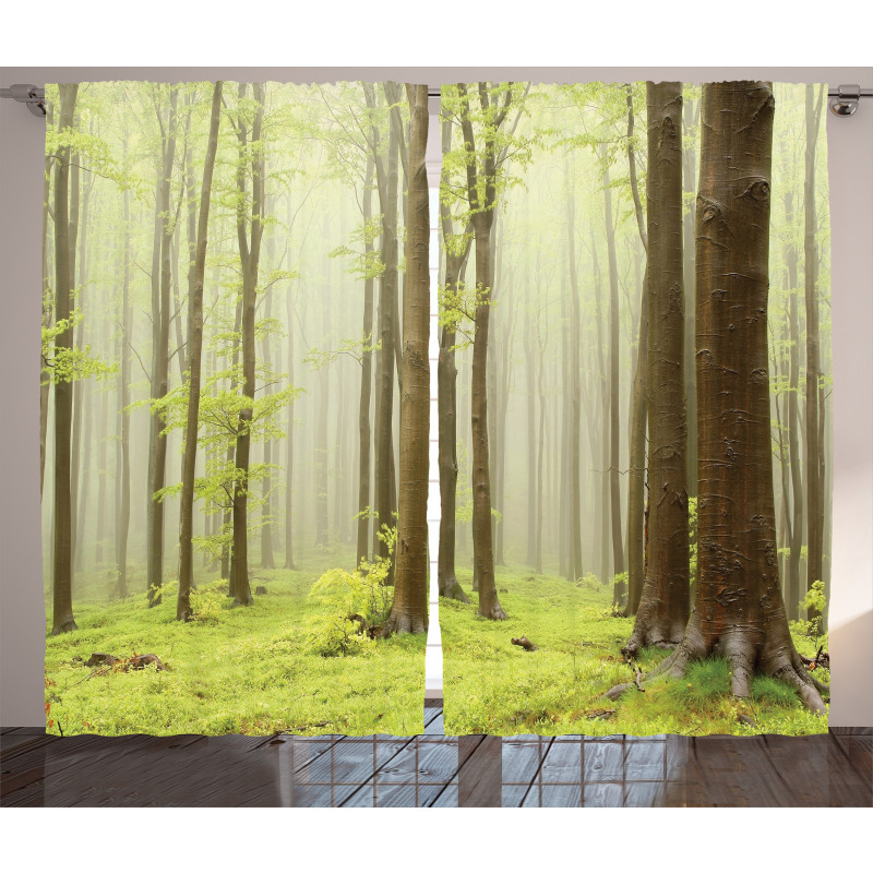 Misty Beech Forest Photo Curtain