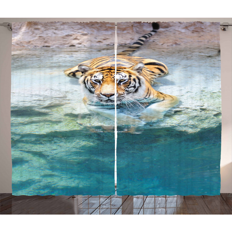 Bengal Tiger in Wild Curtain