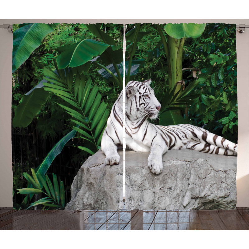 White Tiger in Jungle Curtain