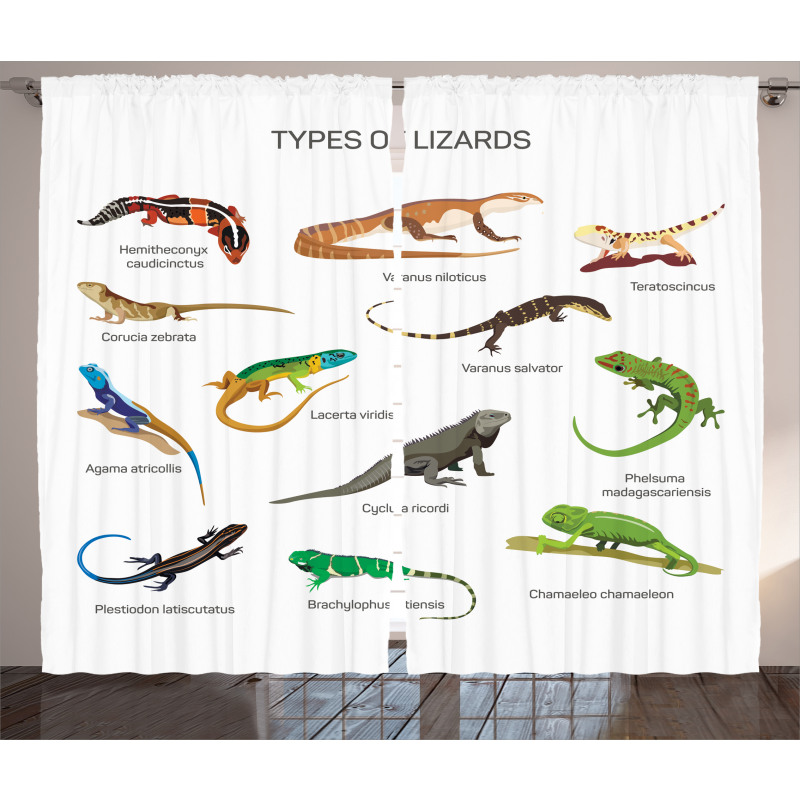 Exotic Lizard Reptiles Curtain