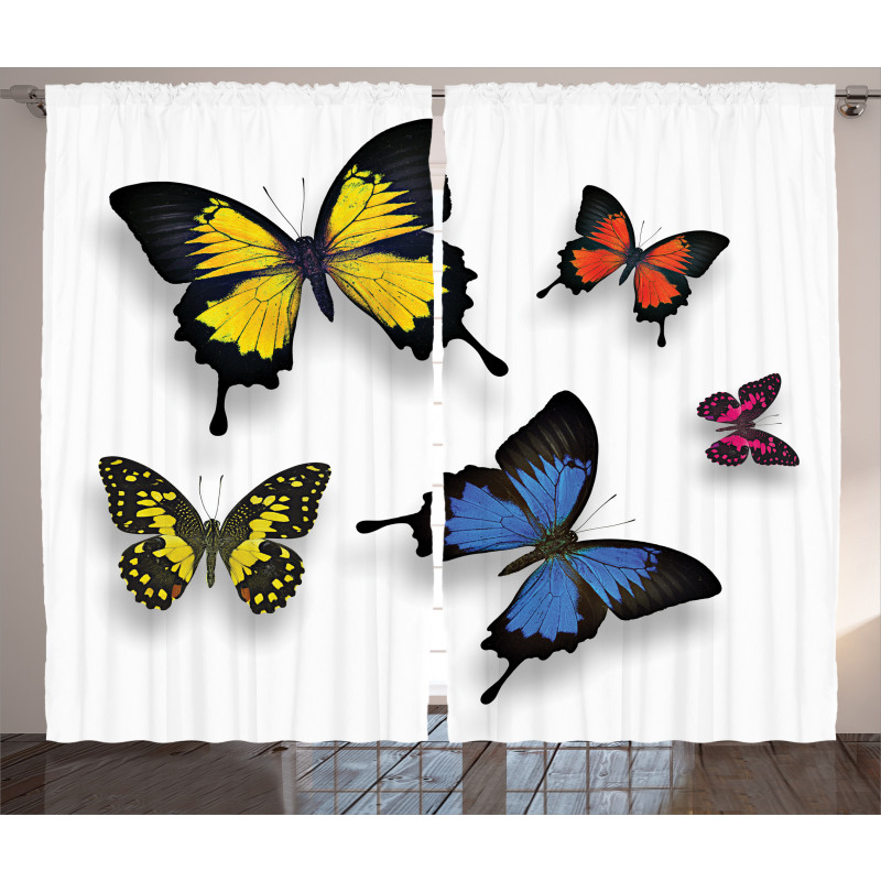 Nature Moths Wings Curtain