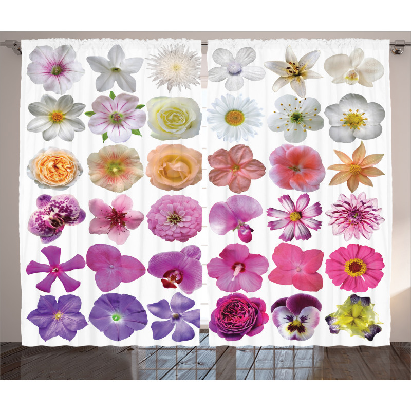 Flowers Petunia Botanic Curtain