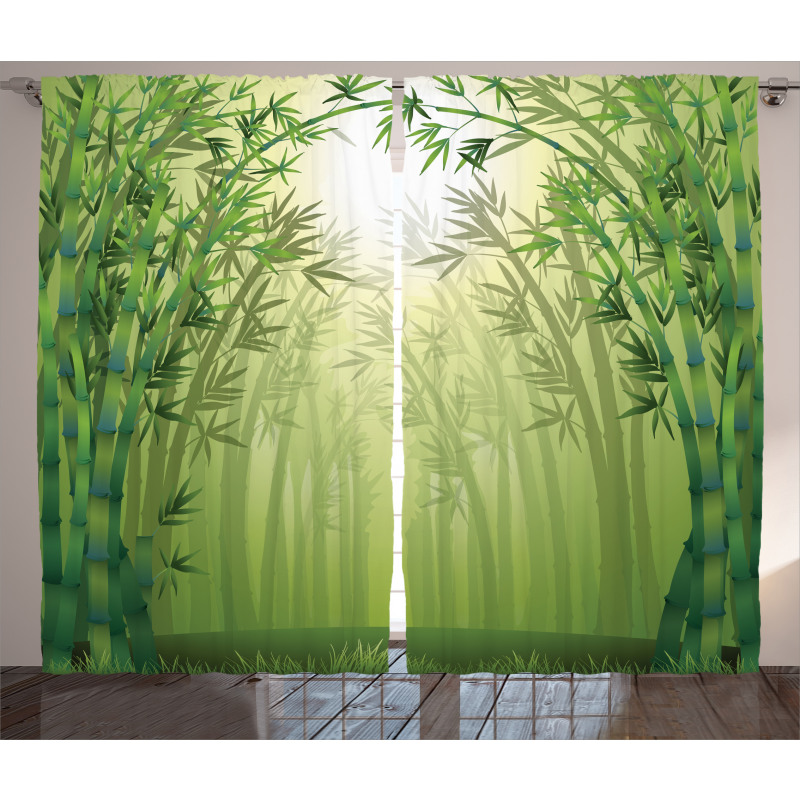 Bamboo Trees in Forest Curtain