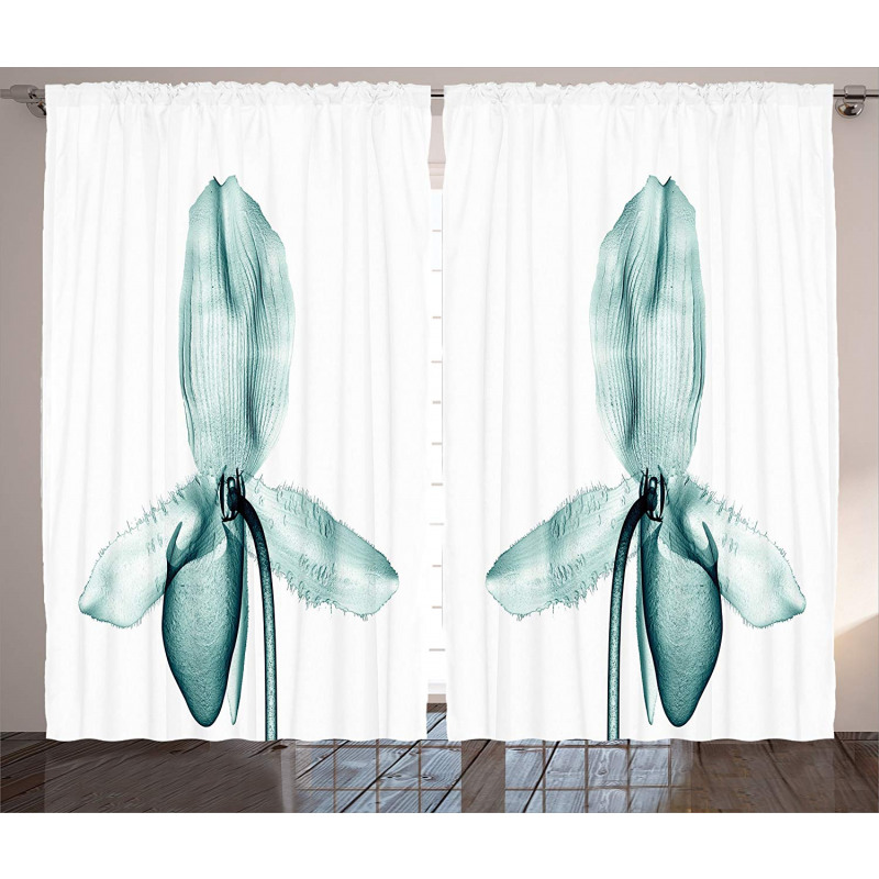 Modern Flower X-Ray Curtain